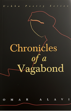 Chronicles Of a Vagabond